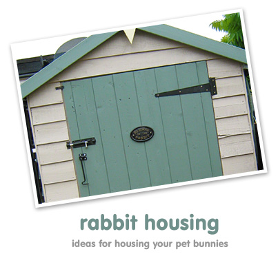 rabbit housing bunny