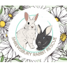 Shrewsbury Rabbit Rescue